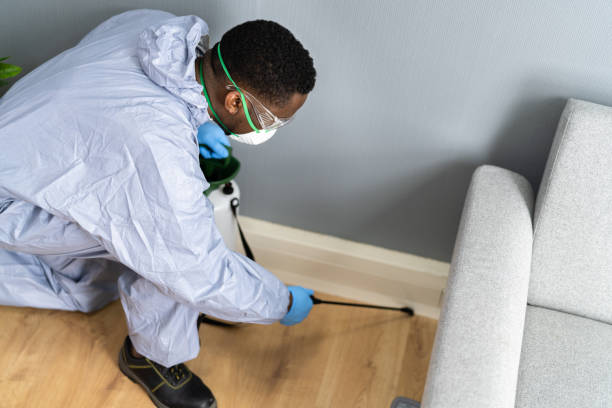 Best Bed Bug Extermination  in Margate City, NJ